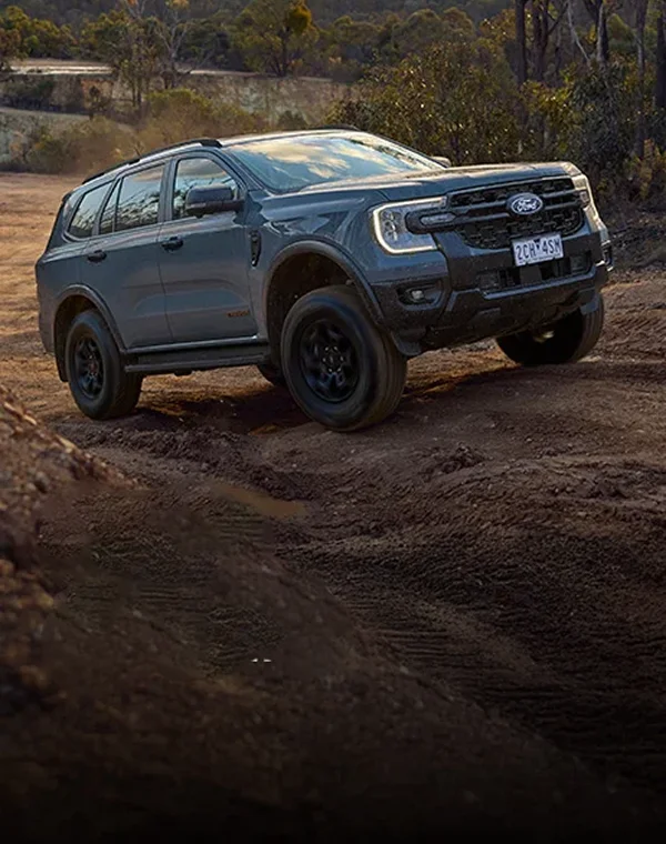 Suvs Cars